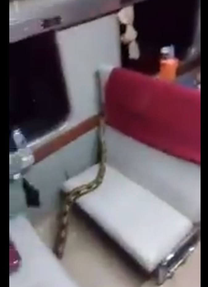 昨(22)晚，印尼一班從泗水開往首都雅加達的火車上意外出現一條約4公尺長的蟒蛇，把乘客嚇得驚慌逃竄。   圖：翻攝自Hedwig™推特(@hedwigus)