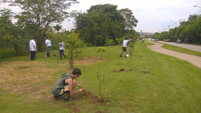 自去年十月起，Ecopoint Brazil已經種下165棵樹。   圖：Ecopoint Brazil提供