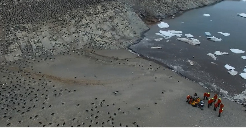 南極洲東部偏遠的危險群島（Danger Islands）上，發現約有150萬隻阿德利企鵝（Adelie penguin）正在棲息繁殖。   圖：翻攝youtube