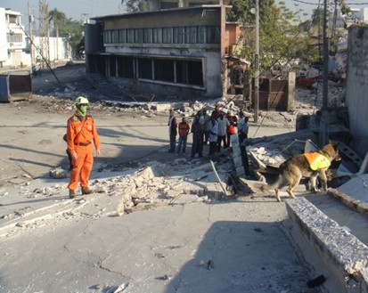 在2010年海地震災中，台灣派遣搜救隊前往海地，搜救犬「能搜」隨隊前往，經過數日搜救，成功救出一名生還者，也創下台灣第一次在國際任務中救出生還者的記錄。   圖：高雄市消防局/提供
