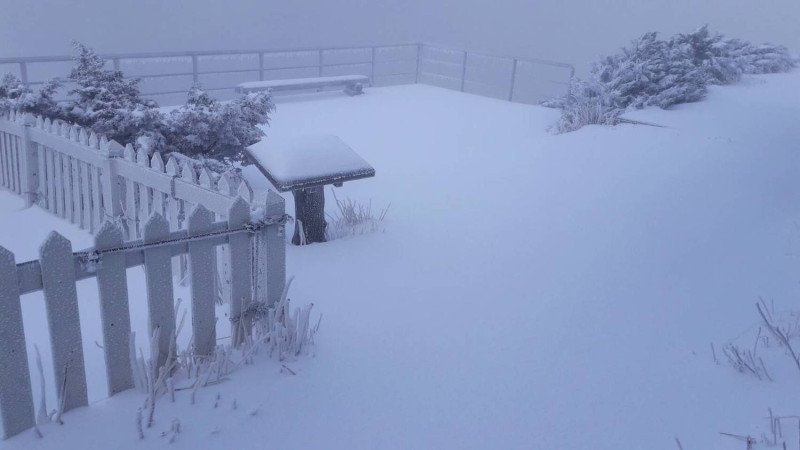 昨(8)天中央氣象局玉山氣象觀測站再度成為雪白大地。   圖：中央氣象局提供