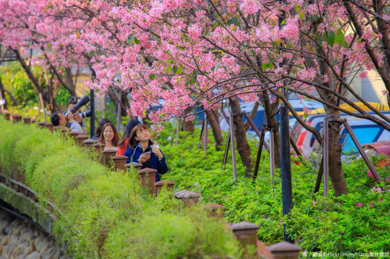 希望之河周邊的生態豐富的美麗步道，浪漫綻放的粉嫩櫻花吸引附許多是們朋友前往觀賞，趁著好天氣打卡拍照留念，搶先目睹櫻花之美。   圖：翻攝自Flickr／Jimmy Liang開放權限