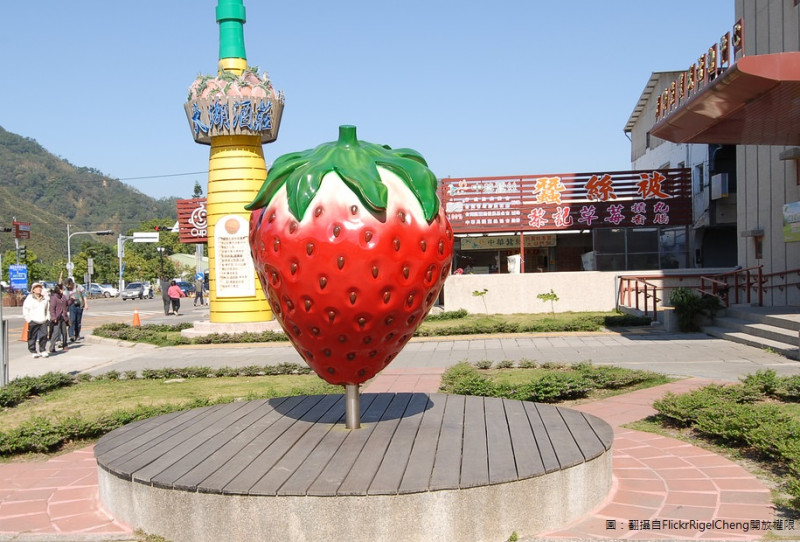 苗栗大湖有台灣草莓王國之稱，每年11月至4月是大湖草莓的盛產季，四處可見草莓園與觀光果園，更成立大湖草莓文化館。   圖：翻攝自Flickr/RigelCheng開放權限