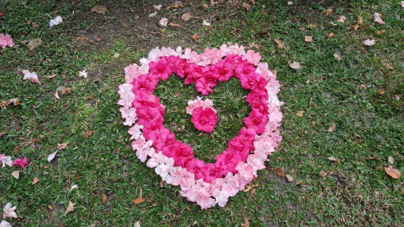 工務局公園處發揮巧思以凋落花瓣排列而成的杜鵑愛心圖。   圖：台北市政府工務局／提供