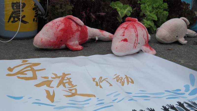 環團將海豚布偶塗上紅漆，象徵白海豚的悲歌。   圖：彰化縣環境保護聯盟/提供