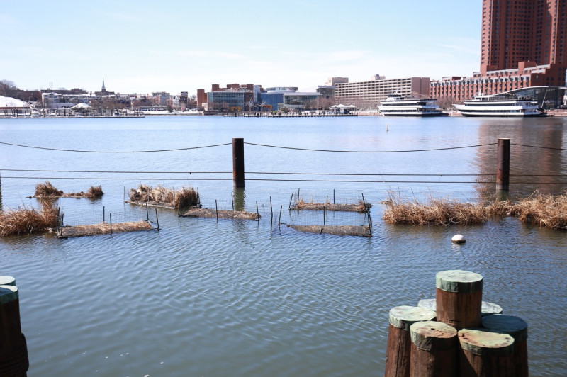 生態工法與浮動濕地改善港區水質。   圖：高雄市政府/提供