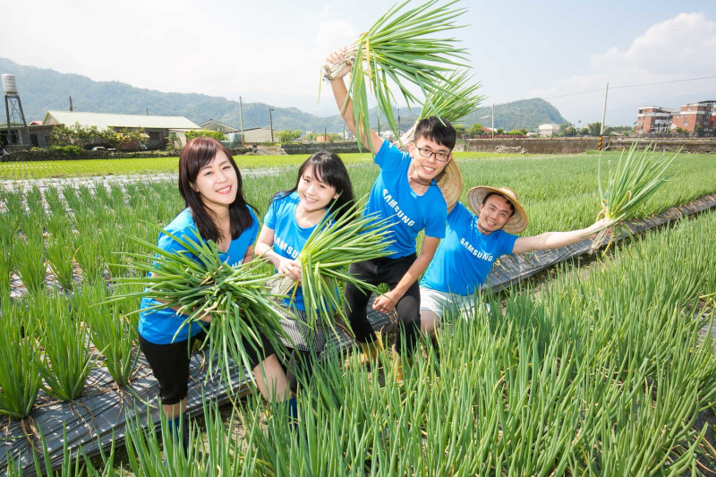 今年，台灣三星三度舉辦「三星稻田認養公益計畫，出發！前往田中央」志工活動。   圖：台灣三星/提供