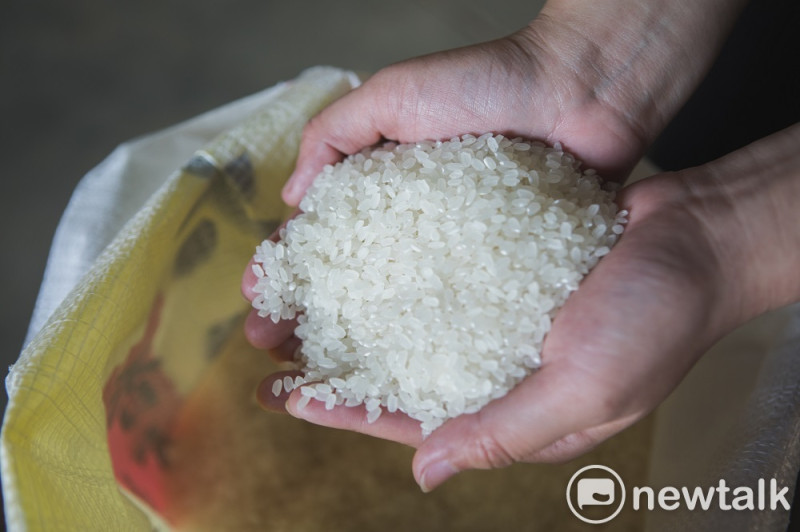 為鼓勵稻農生產高品質稻米，農委會持續收購公糧，並且推動稻作保險，使減產損失衝擊降低。   圖：陳宣如／攝