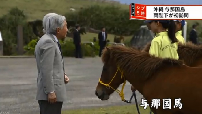 明仁與美智子抵達與那國島第一站，先到東牧場看日本原生種的與那國馬。   圖：翻攝NHK畫面