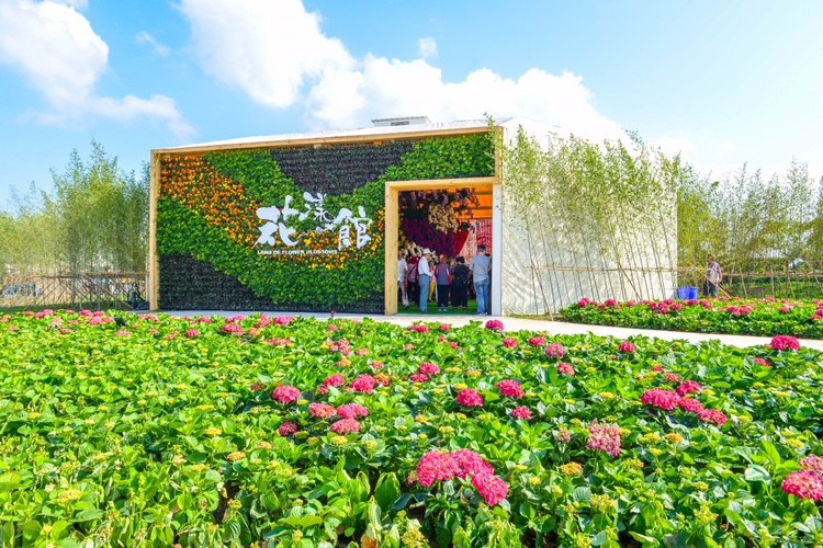 「花漾館」展現了桃園在地草花、蘭花栽培技術。   圖 : 桃園市政府 / 提供