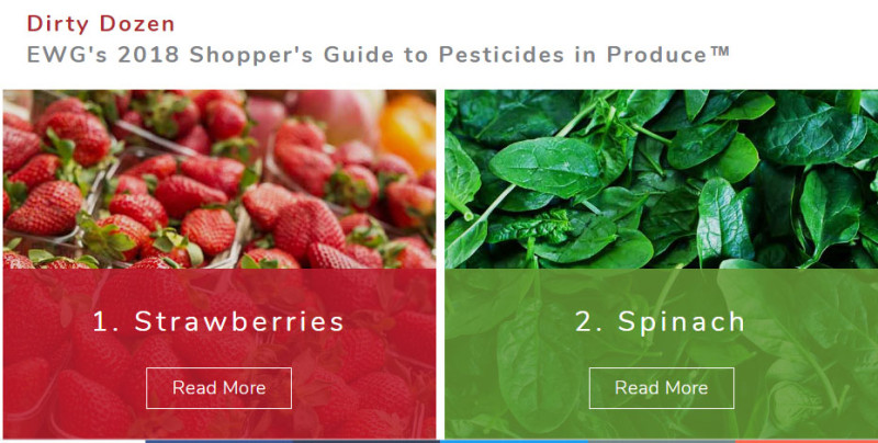美國非營利組織「環境工作」調查，草莓以驚人的農藥殘留量，登上「Dirty 12」的冠軍。   圖：翻攝「環境工作」官網