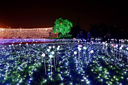 晚上蝴蝶公園地景還有光雕登場，變身幻化為光影彩蝶，為充滿愜意、浪漫及驚喜。   圖：新北市政府/提供