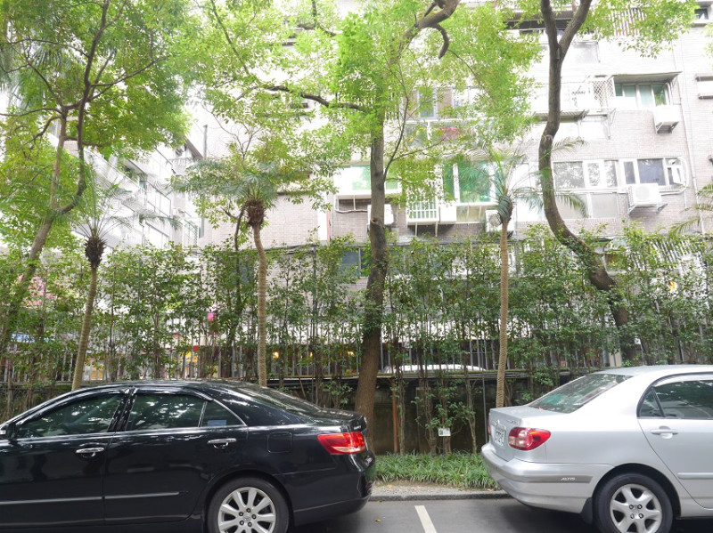 靠近鎮江街的青島崗口側的矮圍牆旁，也種植了許多高聳的樹木，讓人不能從外面一眼就看到裡面的狀況。   圖：趙婉淳／攝