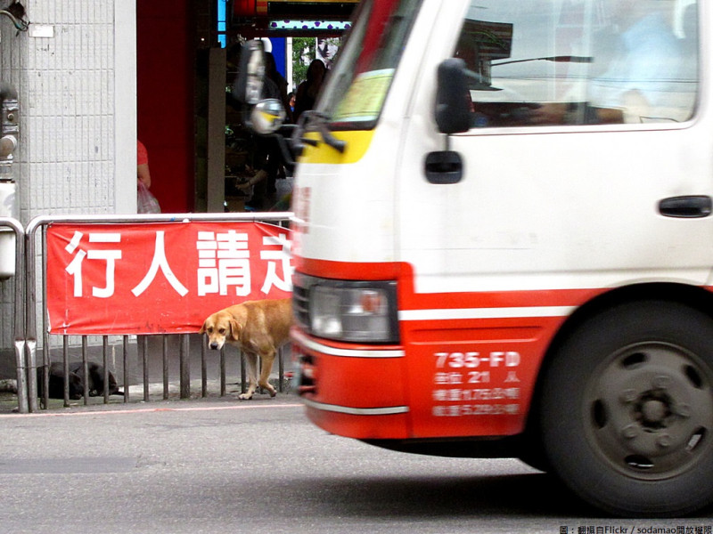 最近常發生大型車因視線死角而發生事故，所以高雄市旗山監理站提醒機車騎士朋友，應保持「最大安全間隔」且「勿併行」，路口轉彎時，也需注意大型車轉向，停等紅燈時，「不宜靠近大貨車旁」，以免因視線死角而發生擦撞。   圖：翻攝自Flickr／sodamao開放權限