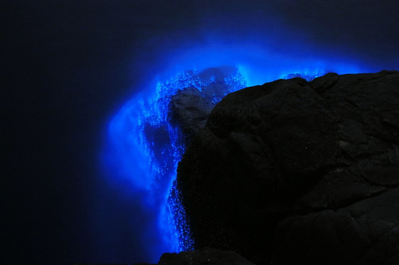 其實藍眼淚是一種夜光蟲(渦鞭毛藻)，經過海浪及自然風的驚擾後，會發出淡藍色的螢光所產生，意外成為當地特殊美景。   圖：翻攝鄭明典FB粉絲專頁