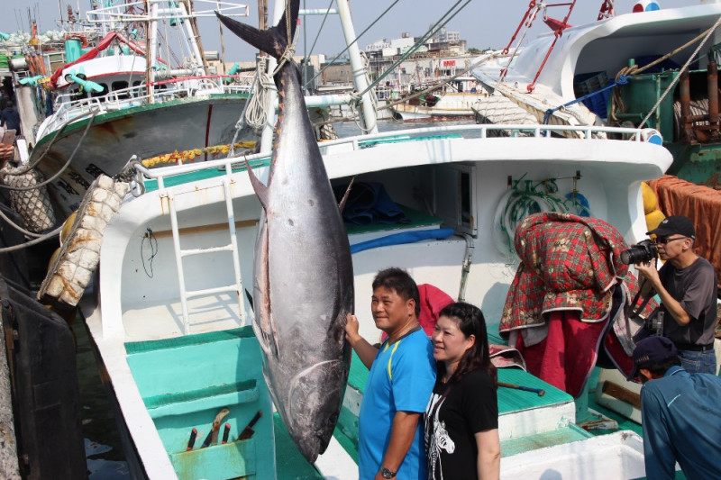 屏東縣自2001年起舉辦黑鮪魚文化觀光季，不僅是漁業界的年度盛事，更是全國矚目的焦點。   圖：屏東縣政府/提供