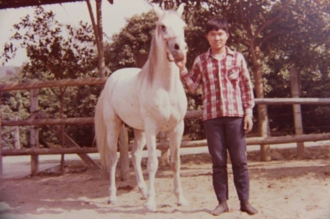 阿拉伯公馬「安曼」。   圖 : 台中市政府/提供
