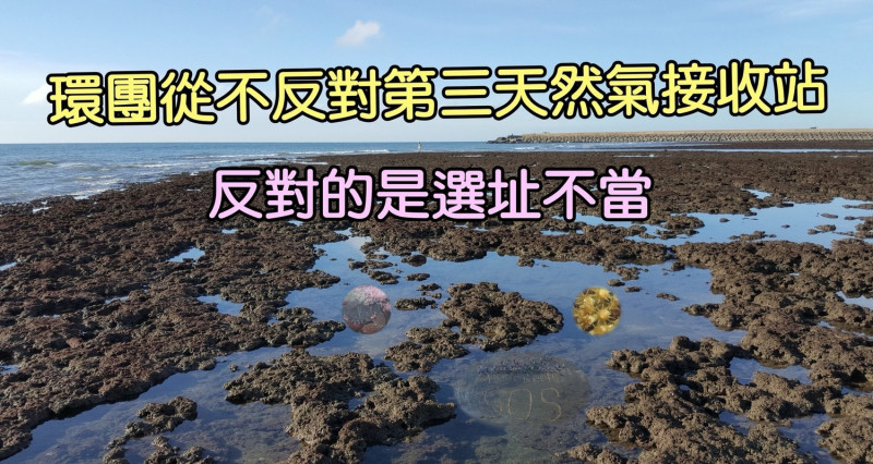 五年前，總統蔡英文曾讚美大潭藻礁是十分特殊的生態棲地，應永久保存，如今將在沿岸設立中油液化石油氣的第三接收站，十分諷刺。   圖：翻攝自珍愛藻礁臉書