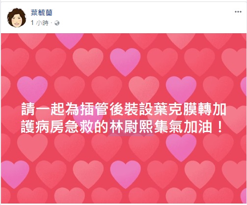 前警大教授葉毓蘭在臉書上為隊員林尉熙祈福。   圖/翻攝自臉書