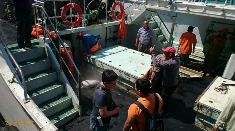 漁業署派員在高雄小港漁港執行金昌17號漁船例行性全程卸魚檢查。   圖：漁業署／提供