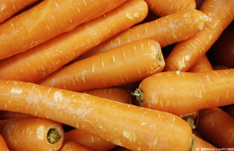 飲食中適度地攝食胡蘿蔔，對於葉黃素(Lutein)的吸收影響並不大，只有當同時服用且攝入大量β胡蘿蔔素，才會影響葉黃素的吸收。   圖：翻攝自Flickr／aui9019提供