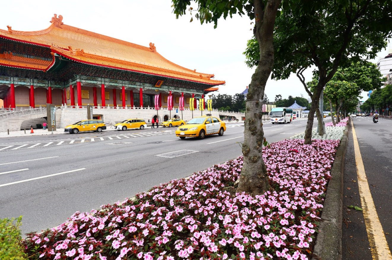 愛國東路婚紗街旁綿延90公尺的粉色花毯恣意綻放。   圖：台北市政府／提供
