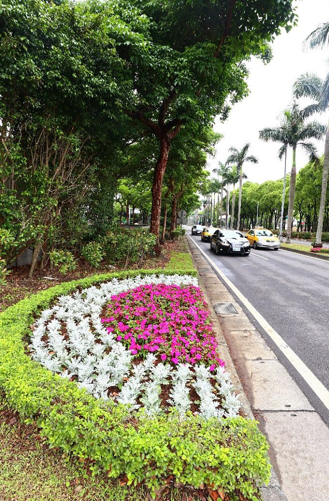 道路旁幾何的半圓形，搭上粉色及白色的花瓣，亮麗又顯眼。   圖：台北市政府／提供