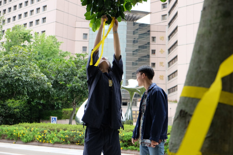 政大學生在校園中綁上黃絲帶。   圖：李承樺/攝