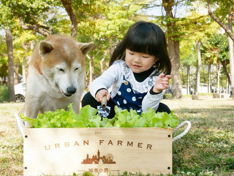 輕鬆DIY做個城市小農。   圖：台中市政府提供