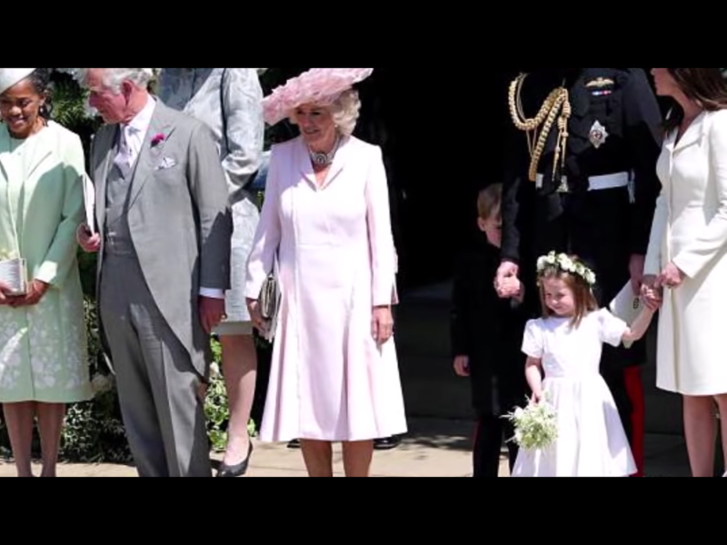 夏綠蒂的4歲哥哥喬治王子（George）則很害羞，躲到爸爸威廉腿後。   圖：翻攝自The Royal Family Channel