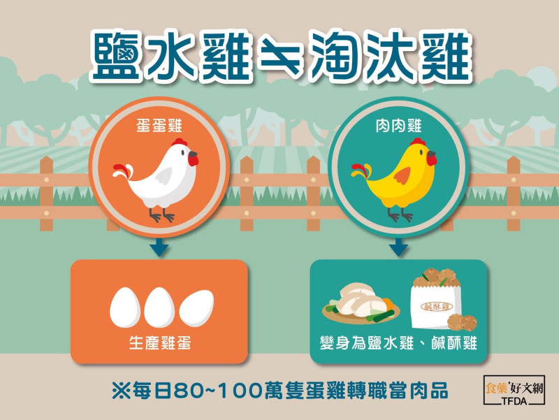依據中華民國養雞學會統計，台灣每個月約有80至100萬隻蛋雞轉換工作，從產蛋變成提供肉品。   圖：食藥署提供