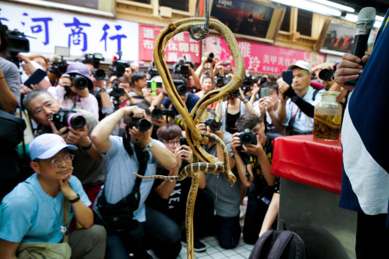 亞洲蛇肉店總經理郭懿堅撈起泡了數十年藥酒的蛇，讓媒體拍攝。   圖：張良一/攝