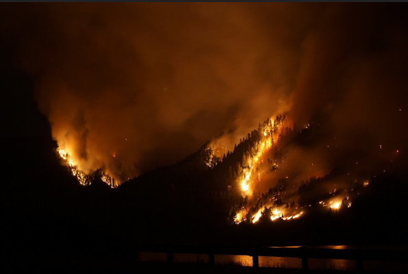 美國俄勒岡州知名的哥倫比亞河峽谷，去年9月因為少年丟擲煙火不慎，引發森林大火。   圖：翻攝U.S. Forest Service flickr