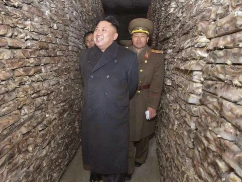 消息還說，慈江道的山裡建有地下隧道通往中國，必要時，金正恩等高官可從山底下逃遁，進入中國。   圖：翻攝自Youtube