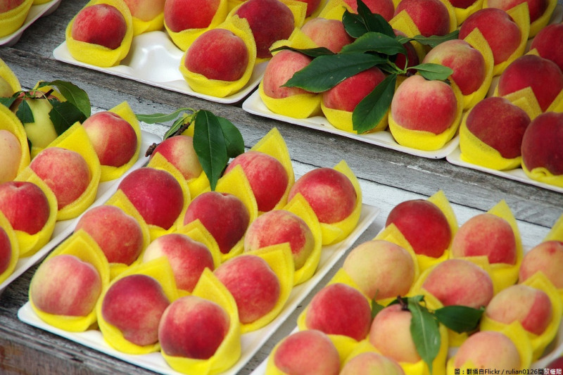 6、7月正是水蜜桃產季，想吃拉拉山水蜜桃的朋友動作可要加快了！   圖：翻攝自Flickr／rulian0126開放權限