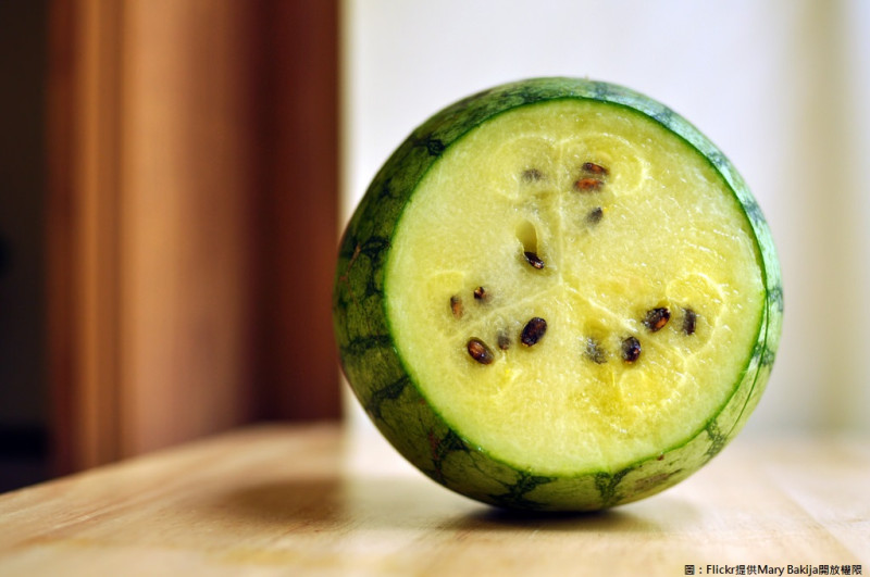 連續高溫是不是令人無法忍受？這時候吃個清涼的西瓜解暑最讚了！   圖：翻攝自Flickr／Mary Bakija開放權限