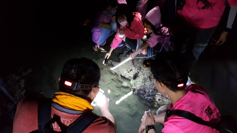 藻礁生態夜觀，除了專家學者外，還有不少小朋友參加。   圖：搶救大潭藻礁行動聯盟/提供