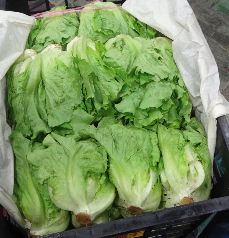 台北市的生鮮蔬果經過抽查有7.8%不符合規定！   圖：台北市政府衛生局提供