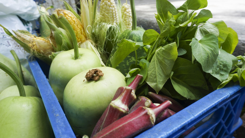 網銀基金會志工們栽種的有機無毒蔬果。   圖：網銀基金會/提供