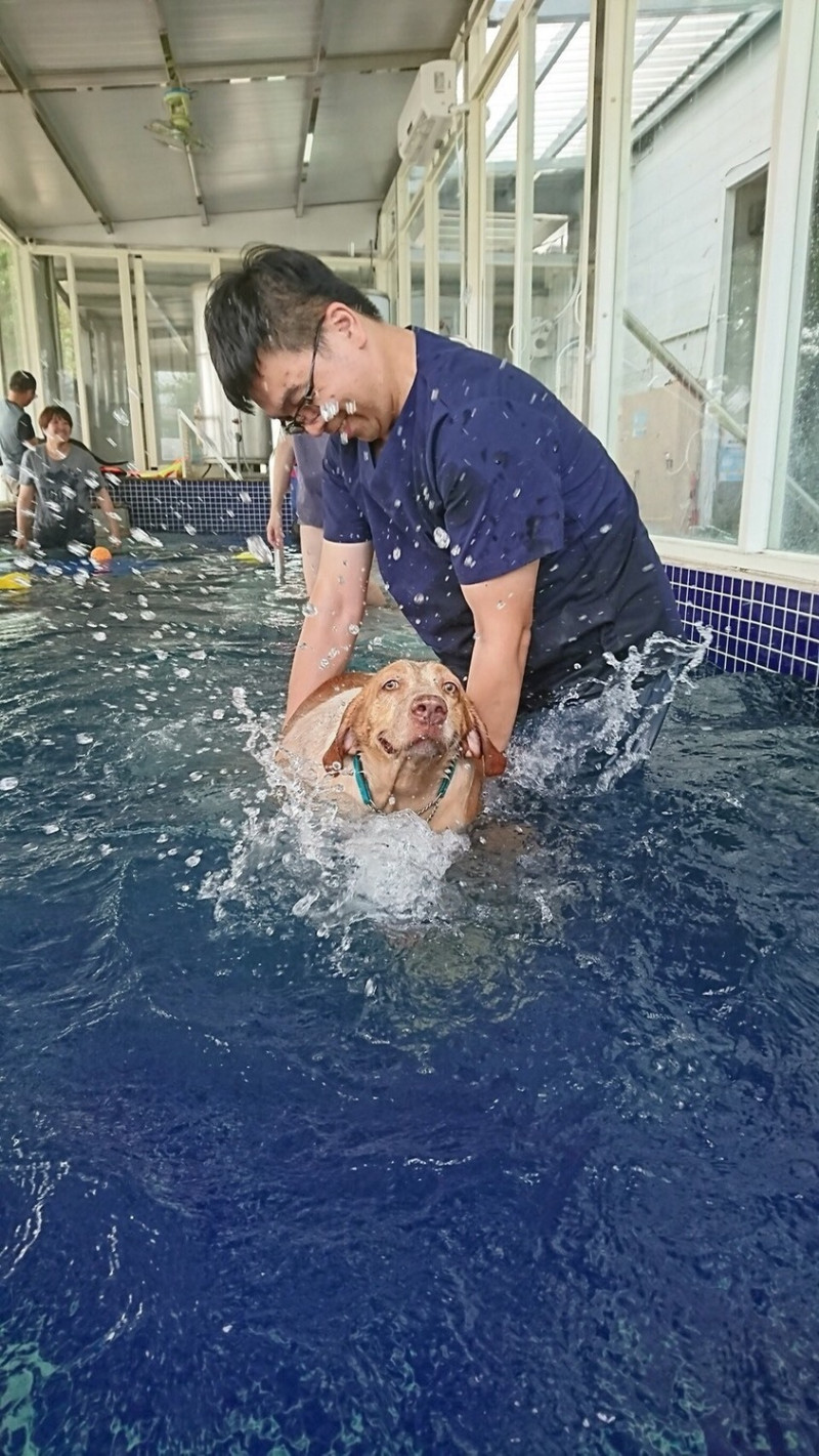 訓犬員利用水的浮力與玩具設計活動，協助狗狗強化肌肉與提升肌耐力，同時也能減少對關節的負擔。   圖：台中市政府/提供