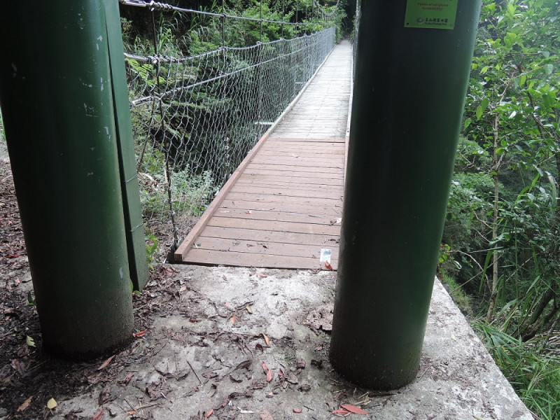 八通關步道雲龍吊橋已於12日完成修復，並開放通行。   圖：玉山國家公園管理處／提供