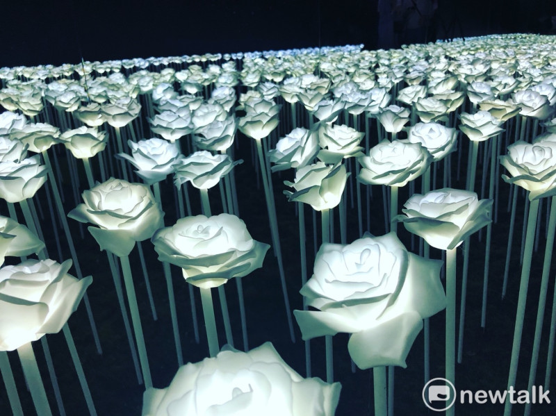 韓劇中超浪漫的玫瑰花田在活動現場重現。   圖：丘秝榕／攝
