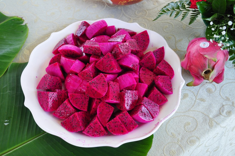 紅龍果是近年來最火紅的健康水果，每年6至12月間是盛產時期，今年夏季陽光充足，甜度風味更勝以往。   圖：農委會台南區農業改良場／提供