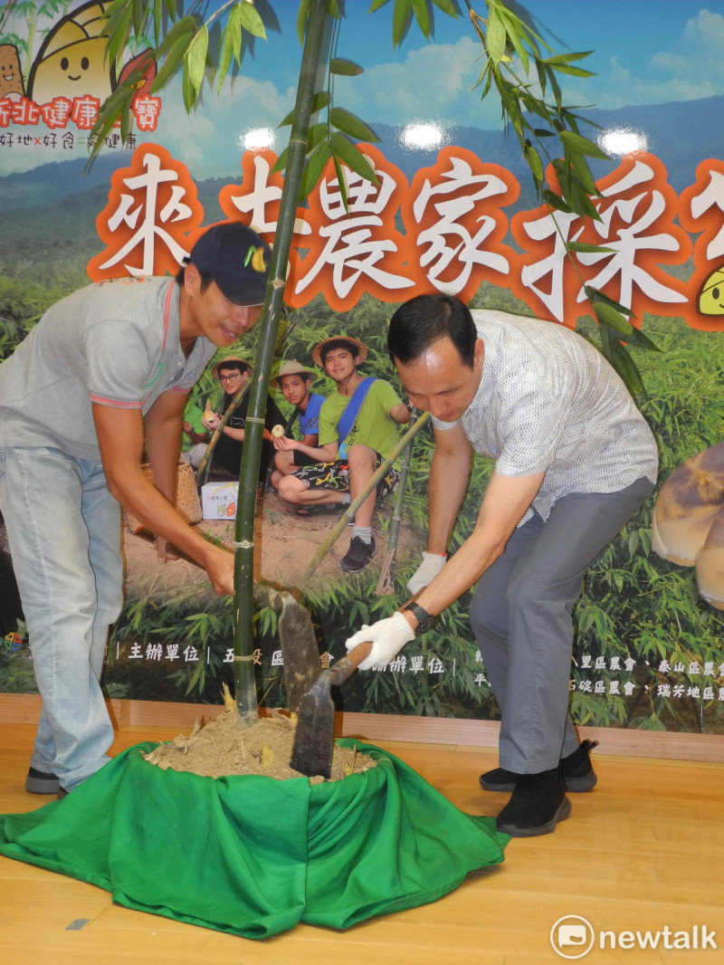 朱立倫在記者會握鋤持刀，示範採挖綠竹筍。                                               
   圖：王峻昌/攝