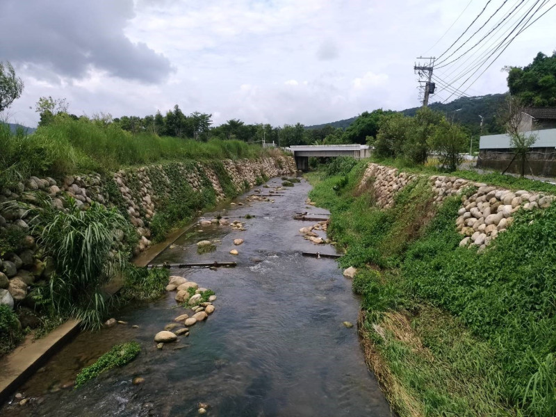 經過整治後的食水嵙溪，水域生態環境也變好了。   圖：台中市政府/提供