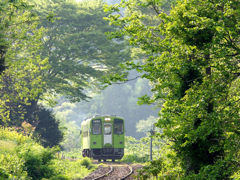 秋田美人線之稱的「秋田內陸縱貫鐵道」，沿途風景隨著四季更迭擁有不同景色風情，夏季則會穿過翠綠森林。   圖：易遊網提供