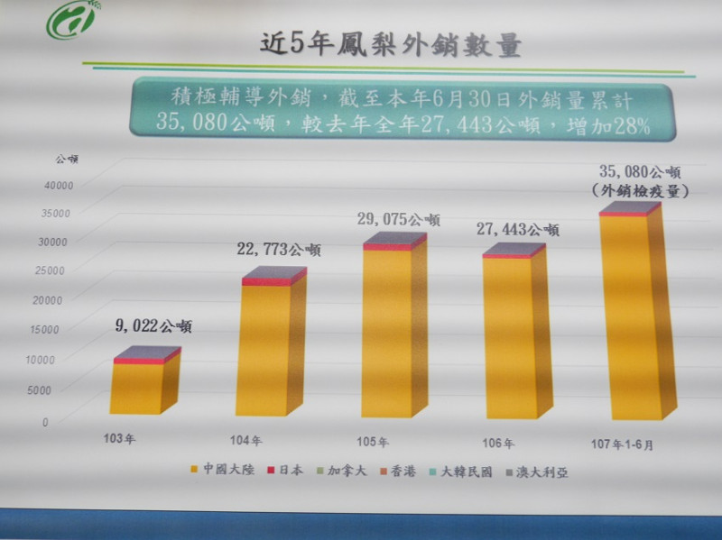 民進黨團也強調，鳳梨外銷產量今年創下歷年來新高。   圖：趙婉淳／攝