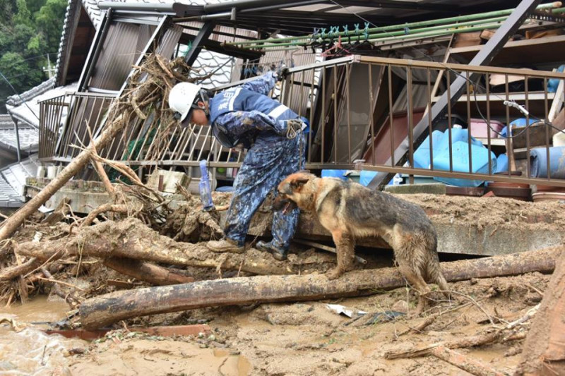 日本豪雨成災，土石流淹沒上萬戶民宅，自衛隊員帶著搜救警犬尋找可能的生還者。   圖：翻攝日本防衛省臉書