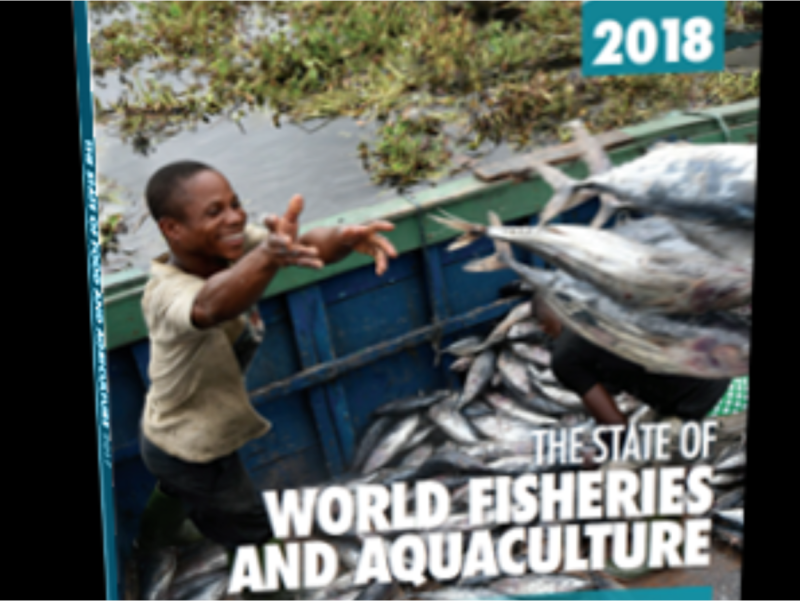 漁業不僅提供了人類蛋白質的主要來源，也養護了全球數以萬計的漁民生計，所以提供可永續發展的漁業環境與友善的漁業生長生態乃為為二不可忽略的要務，怎樣克服與達成這個艱難的任務就看人類的智慧了。   圖：翻攝自聯合國農業與糧食組織 (FAO)網站