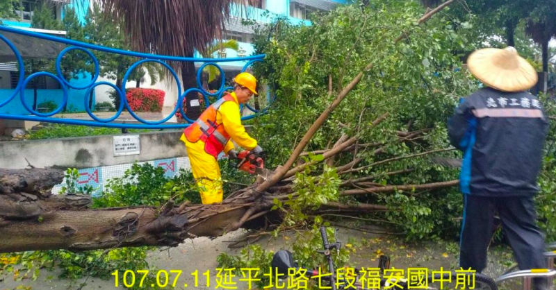 工務局出動電鋸，欲快速排除福安國中前方倒塌樹木。   圖：台北市工務局／提供